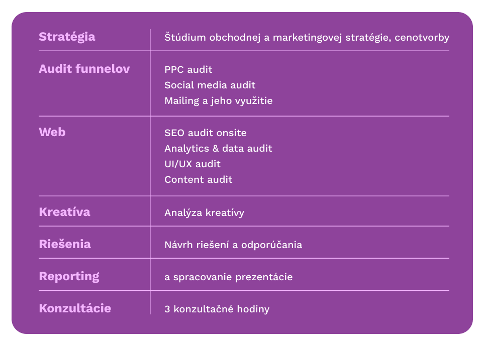 Čo zahŕňa marketingový audit - basic?